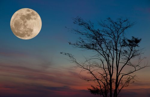 Abril terá uma bela “Lua Rosa”, chuvas de meteoros e eclipse solar raríssimo. Veja - Jornal da Franca