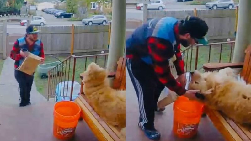 Cena comovente entre entregador e um cachorro viraliza nas redes sociais. Assista