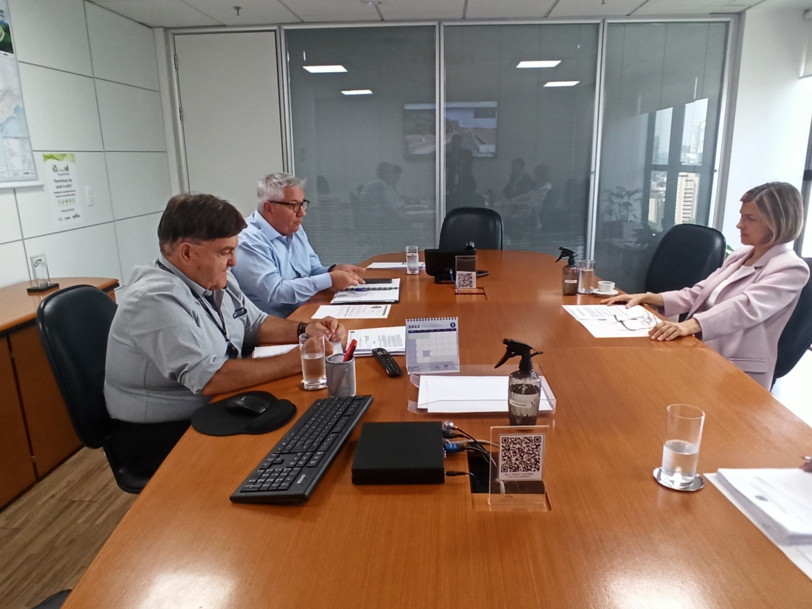 Deputada Graciela quer melhorias nas rodovias Cândido Portinari e Ronan Rocha