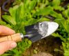 Saiba como obter resultados incríveis no seu jardim usando bicarbonato de sódio - Jornal da Franca