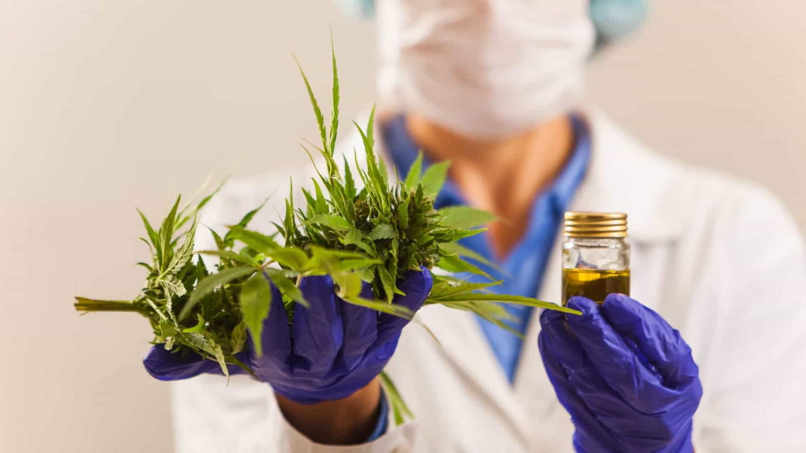 SUS vai tratar doenças com cannabis em cidades do estado de São Paulo. Veja quais
