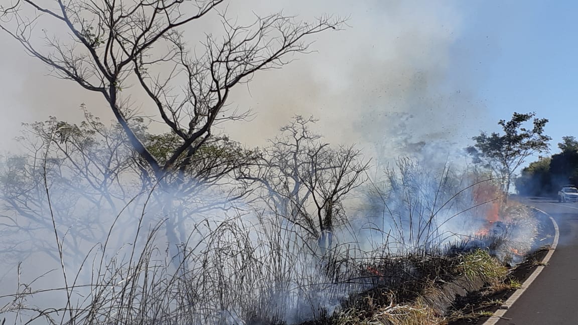 Defesa Civil estadual já usa satélites e mapas em tempo real para prevenir incêndios