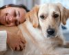 5 áreas do corpo em que cachorros gostam de receber carinho e você deve conhecer - Jornal da Franca