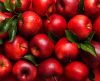 Fruto proibido e poderoso: 4 rituais com maçã para conquistar o crush! - Jornal da Franca