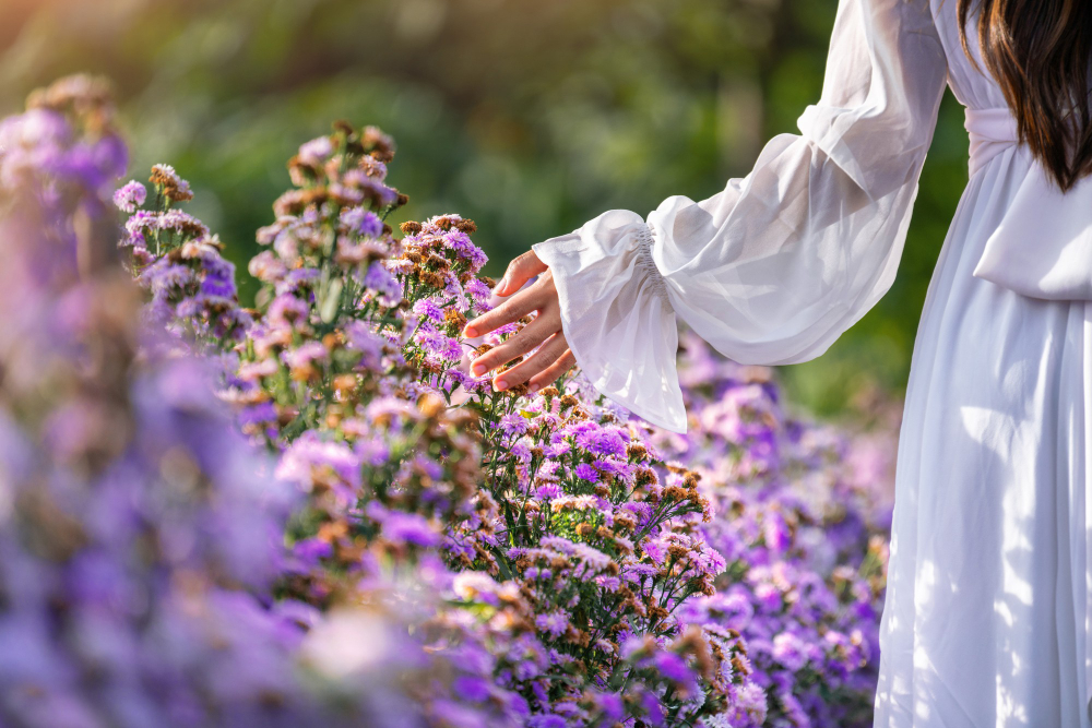 Conheça algumas plantas que florescem o ano todo e não dão trabalho para cuidar