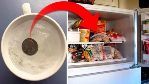 Por que você deve colocar uma moeda na geladeira ao sair de casa por vários dias?
