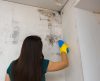 Aprenda como tirar mofo das paredes do quarto e evitar doenças respiratórias - Jornal da Franca