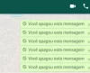 Tem jeito, sim: saiba como ler mensagens apagadas pelo remetente no Whatsapp - Jornal da Franca