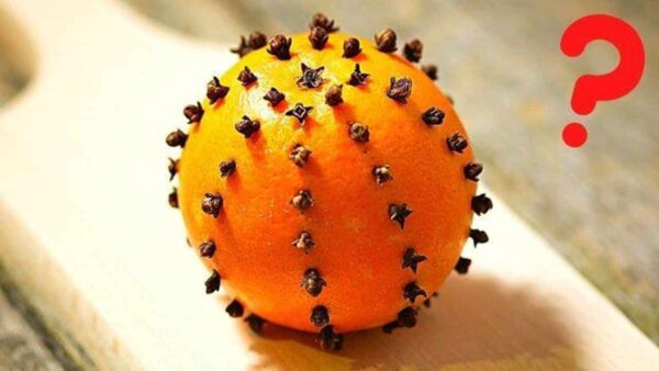 Como acabar com o mau cheiro na cozinha e no banheiro: coloque cravos numa laranja