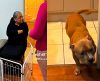 Tutora “prende” visitas que não gostam de seus pets, e vídeo bomba nas redes sociais - Jornal da Franca