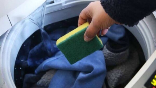 Veja porque você deve colocar uma esponja de cozinha na máquina de lavar