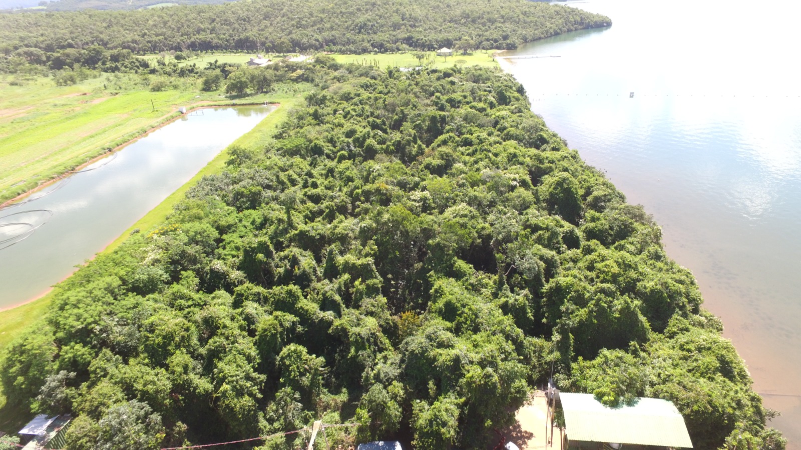 Com plantio de 15 mil árvores nativas, Fider Pescado amplia Área de Preservação