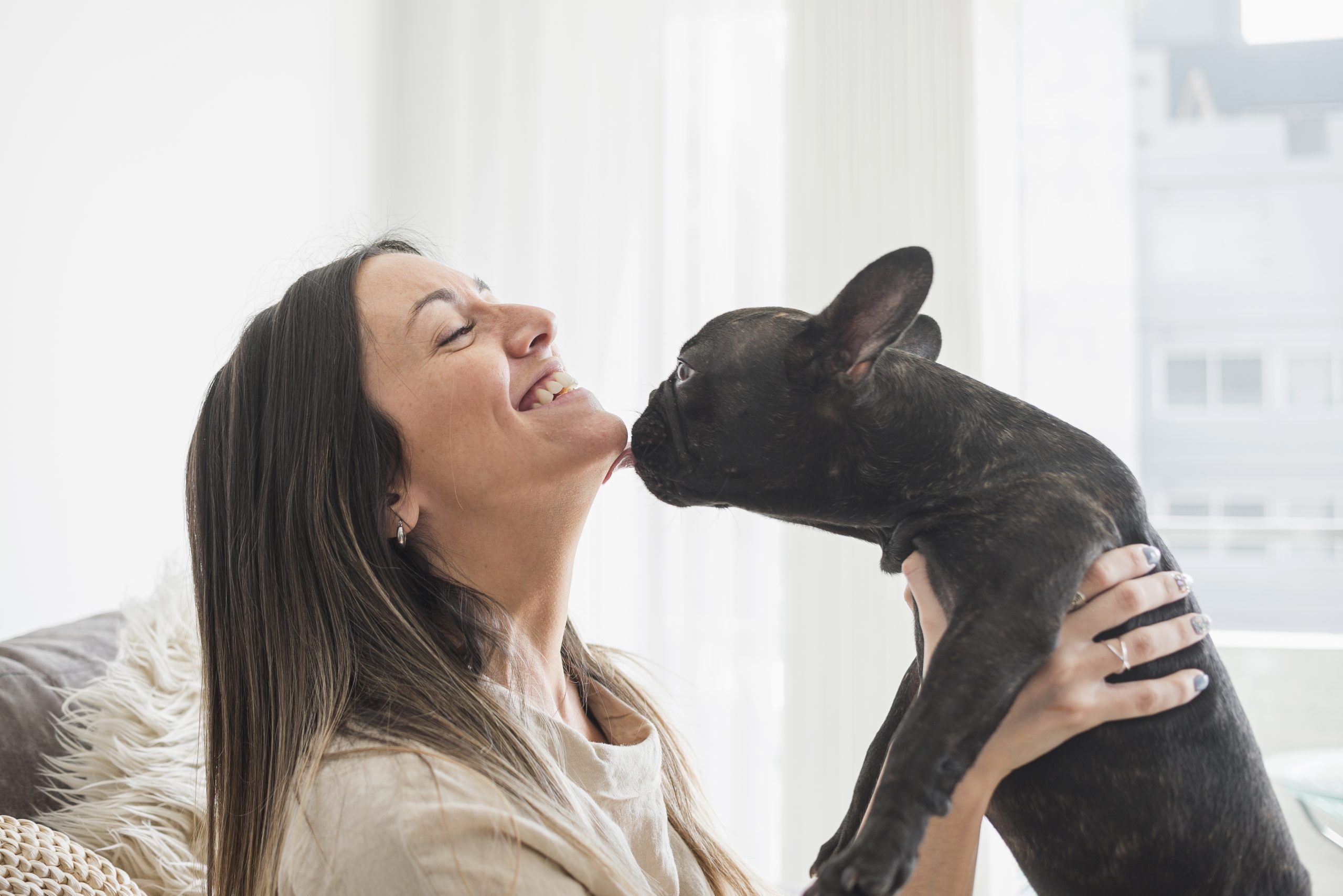 Por que cachorros lambem os donos? Essa resposta você vai gostar de saber!