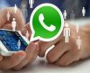 Como sair de um grupo de WhatsApp sem que os outros participantes percebam - Jornal da Franca