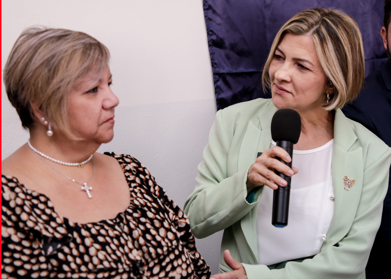 Câmara de Franca aprova Moção de Apoio a ação da deputada Graciela em prol das DDMs