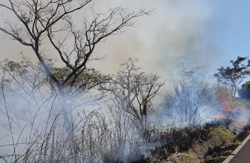 CPFL Paulista faz alerta contra queimadas na região de Franca, que já teve 22 casos - Jornal da Franca