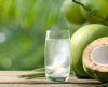 Água de coco: Veja 7 benefícios da bebida para a saúde - Jornal da Franca