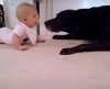 Bebê se aproxima de cachorra e reação amorosa do animal encanta os donos - Jornal da Franca
