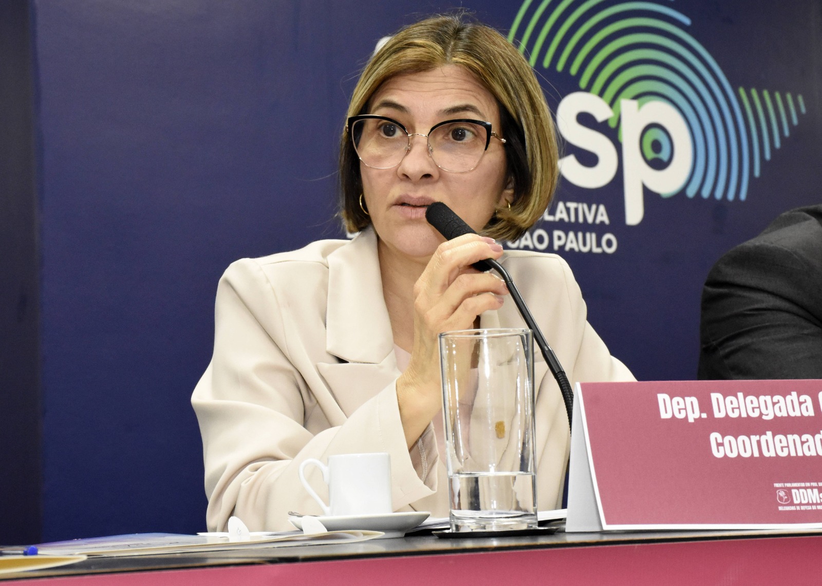 Deputada Graciela pede ao governo que Delegacia da Mulher seja unidade de 1ª classe