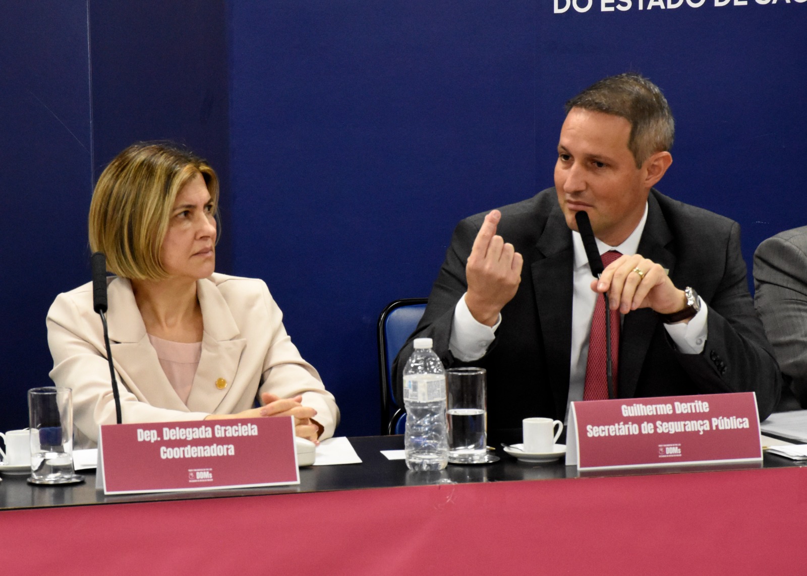 Enquete indica que é preciso investir nos recursos humanos das Delegacias da Mulher