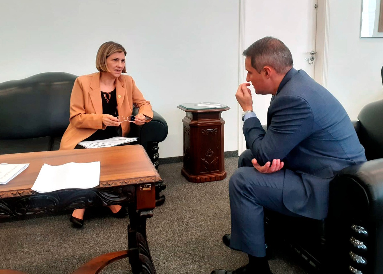 Delegada Graciela quer que DDMs ofereçam botão de socorro às vítimas de violência