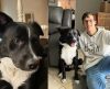 Cachorro herói salva tutor adolescente que teve AVC durante a madrugada - Jornal da Franca