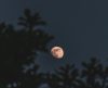 Eclipse lunar acontece neste sábado (28/10) e será parcialmente visível em Franca - Jornal da Franca