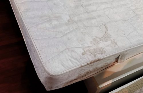Dormir em colchão velho pode trazer riscos à saúde; entenda - Jornal da Franca