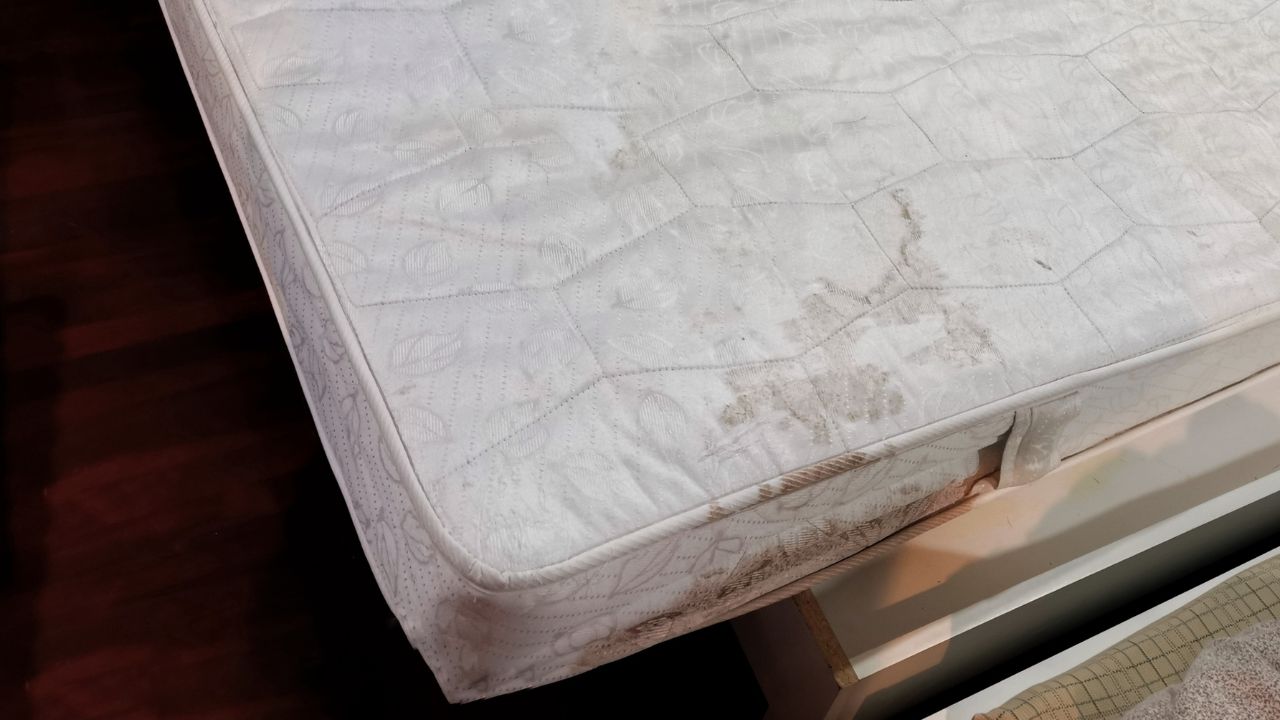 Dormir em colchão velho pode trazer riscos à saúde; entenda
