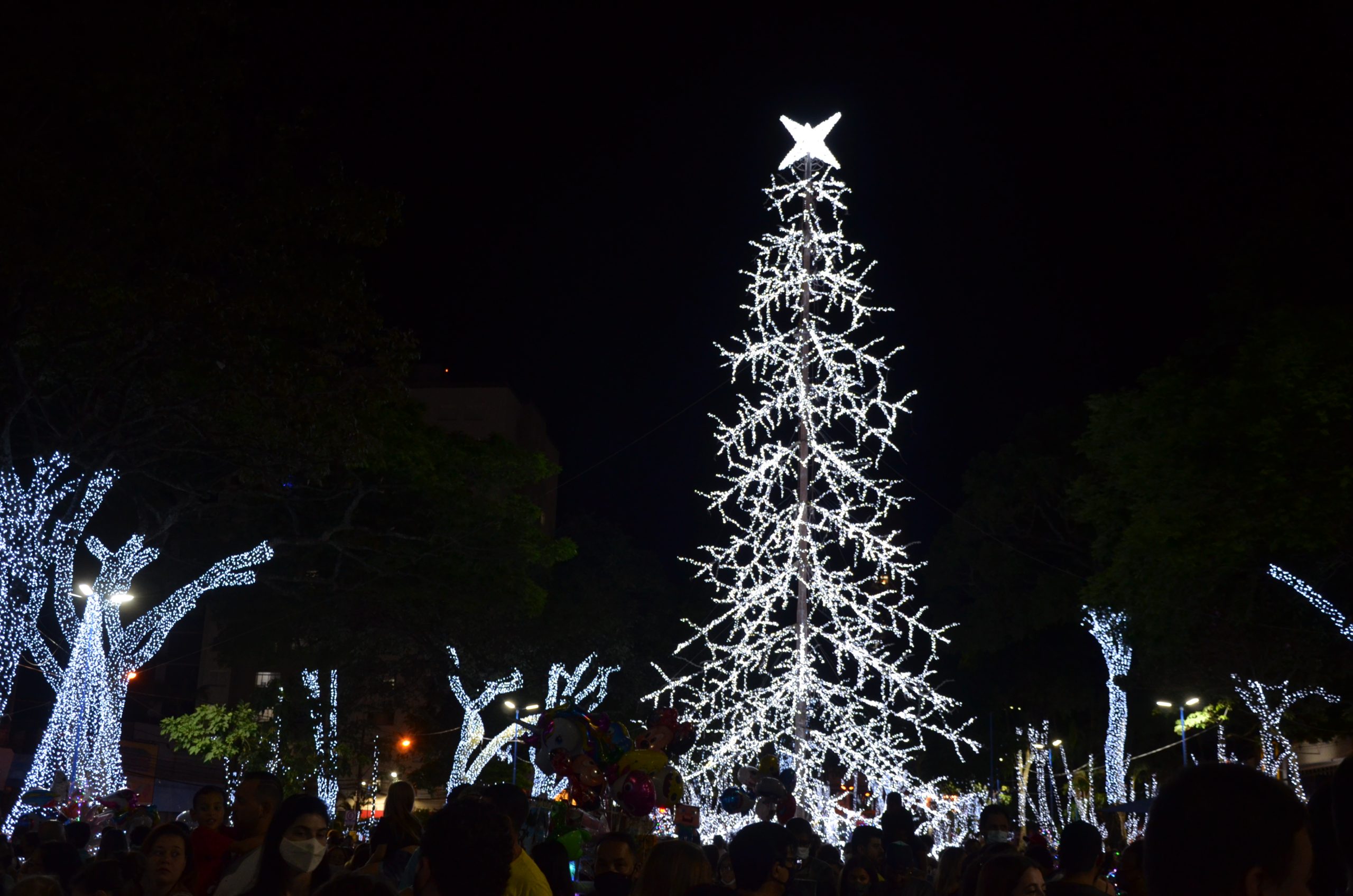 FEAC Franca divulga vencedores das licitações da iluminação de Natal