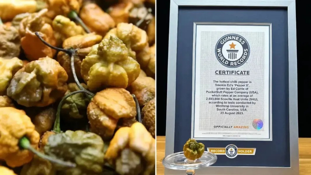 Pepper X se torna a pimenta mais ardida do mundo e supera a Carolina Reaper