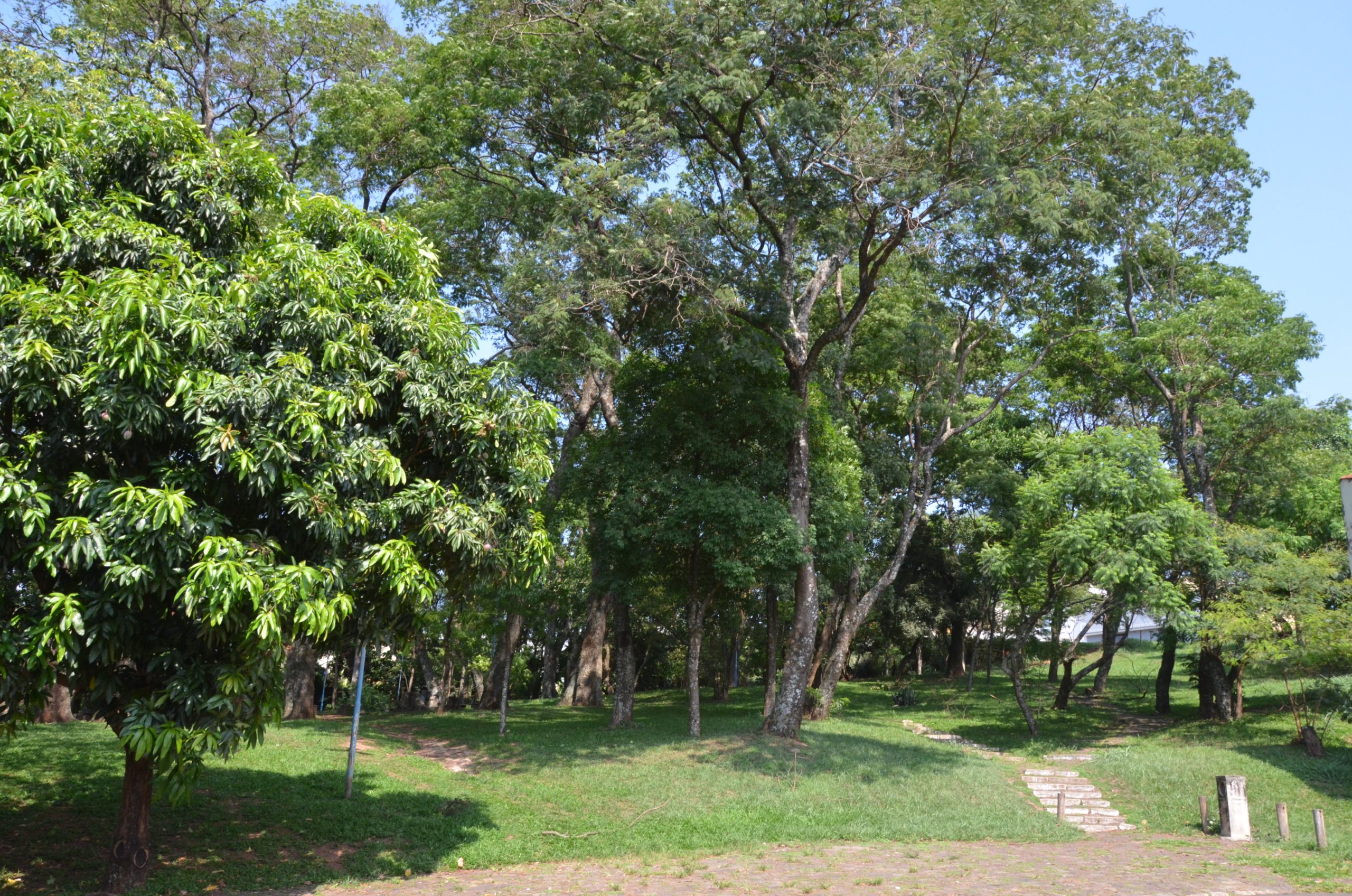 Em Franca, operação de limpeza retira 8 caminhões de entulhos na Praça dos Angicos