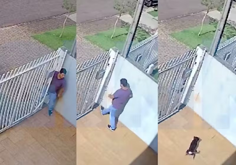Nem todo herói usa capa, às vezes tem quatro patas: Cachorrinho afugenta ladrão
