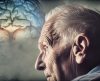 Alzheimer: estudo mostra o que pode causar a morte de neurônios - Jornal da Franca