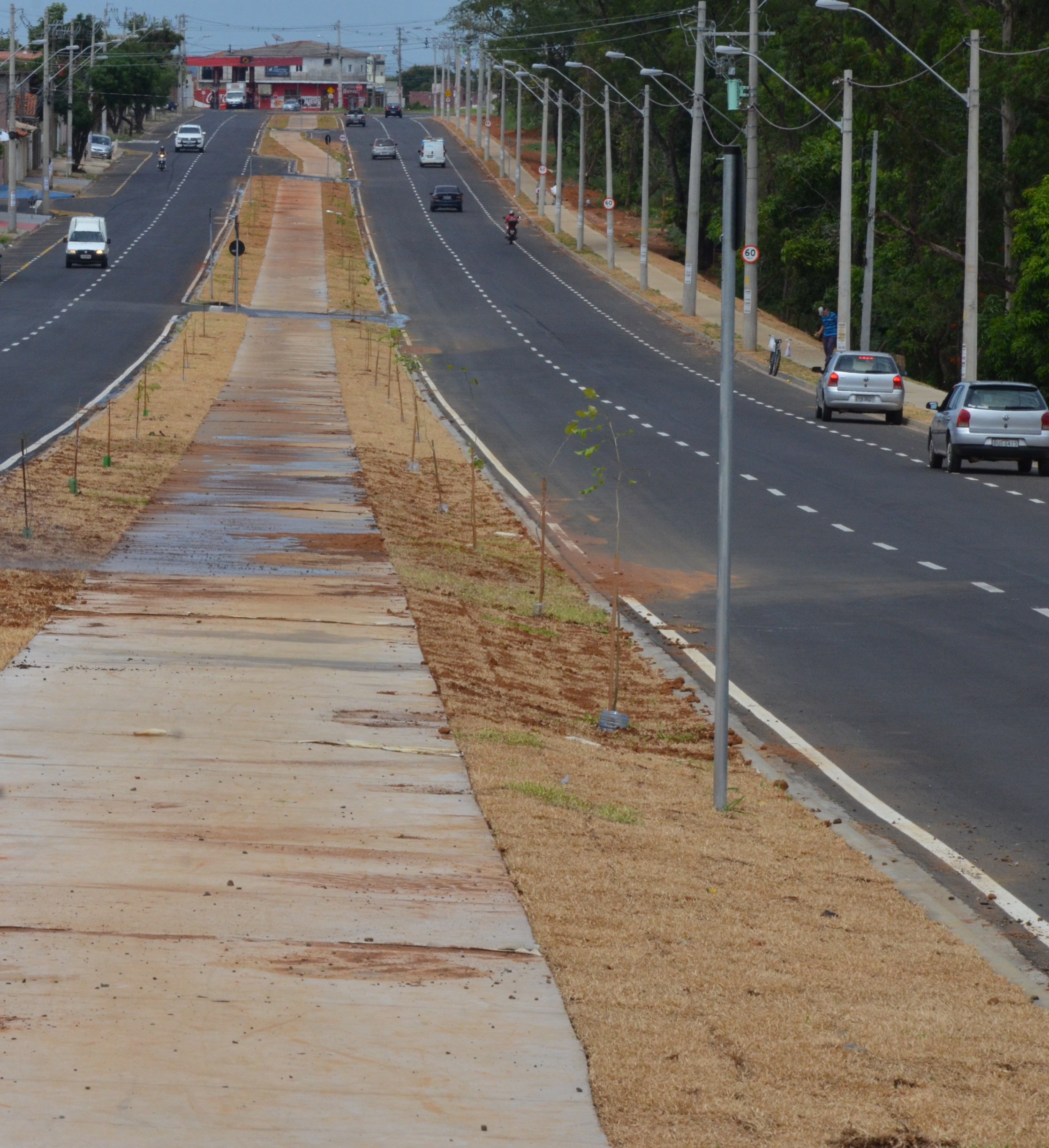 Prefeitura de Franca conclui paisagismo na avenida Geralda Rocha Silva