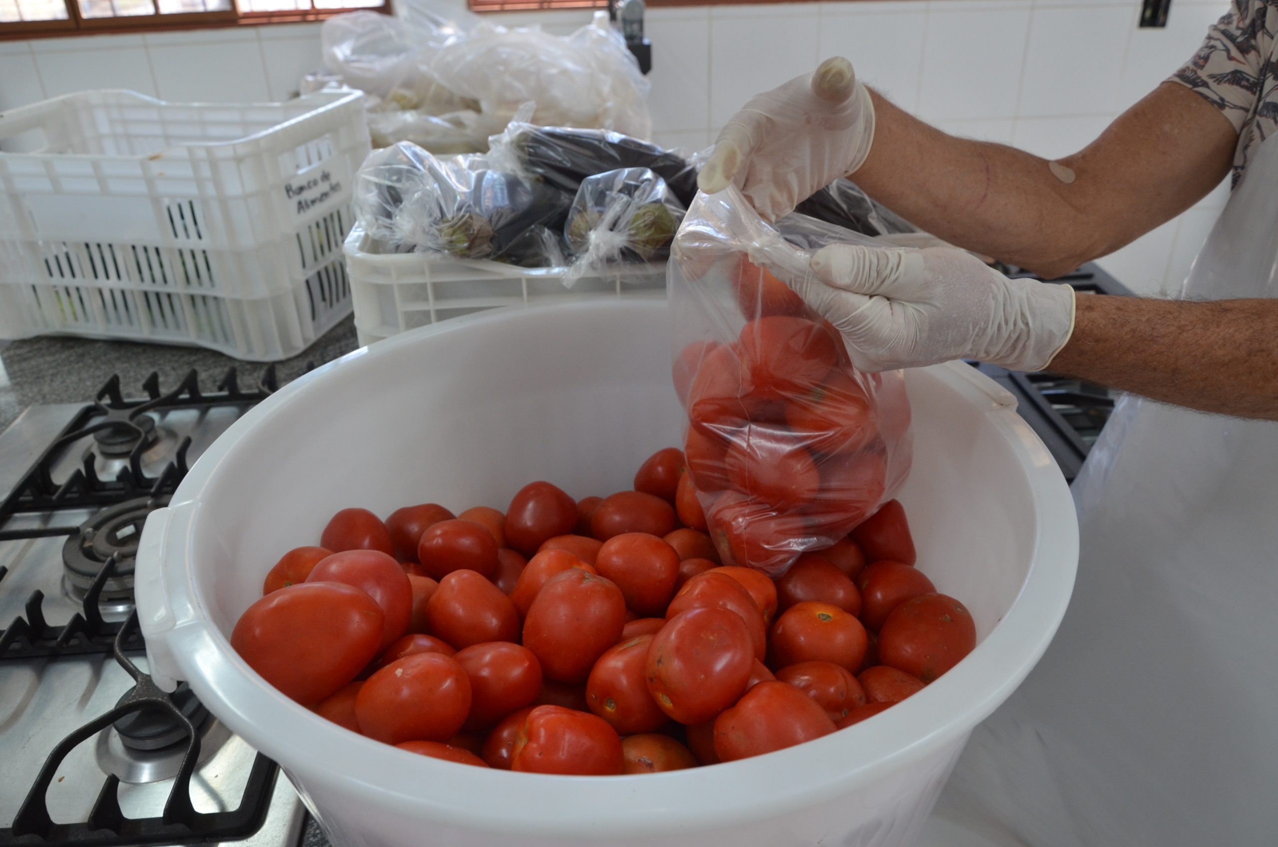 Banco de Alimentos de Franca recebe quase 1 tonelada de doações por semana