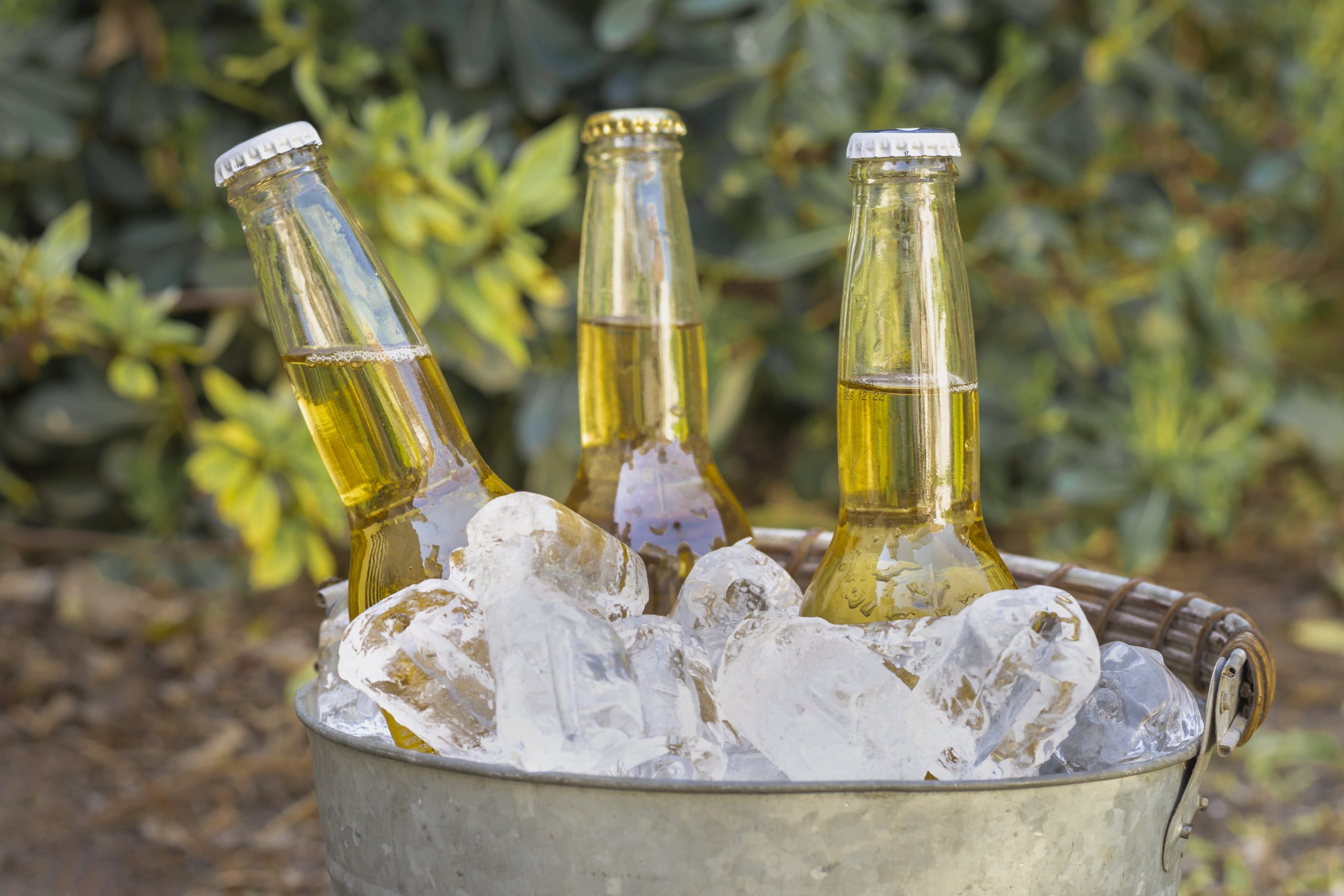 Por que a cerveja fica melhor quando está gelada?