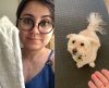 Só com uma toalha: Tutora dá dica que pode salvar o pet em dias de calor escaldante - Jornal da Franca