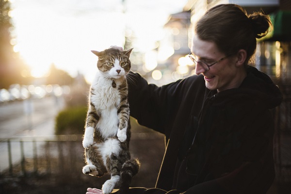 Costuma pegar seu gato pelo cangote? Então você deve parar de fazer isso agora!