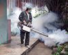Governo de SP mobiliza população para combater Aedes aegypti, transmissor da dengue - Jornal da Franca