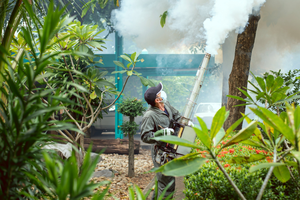Com aumento de casos de dengue, Secretaria alerta para outros sintomas parecidos