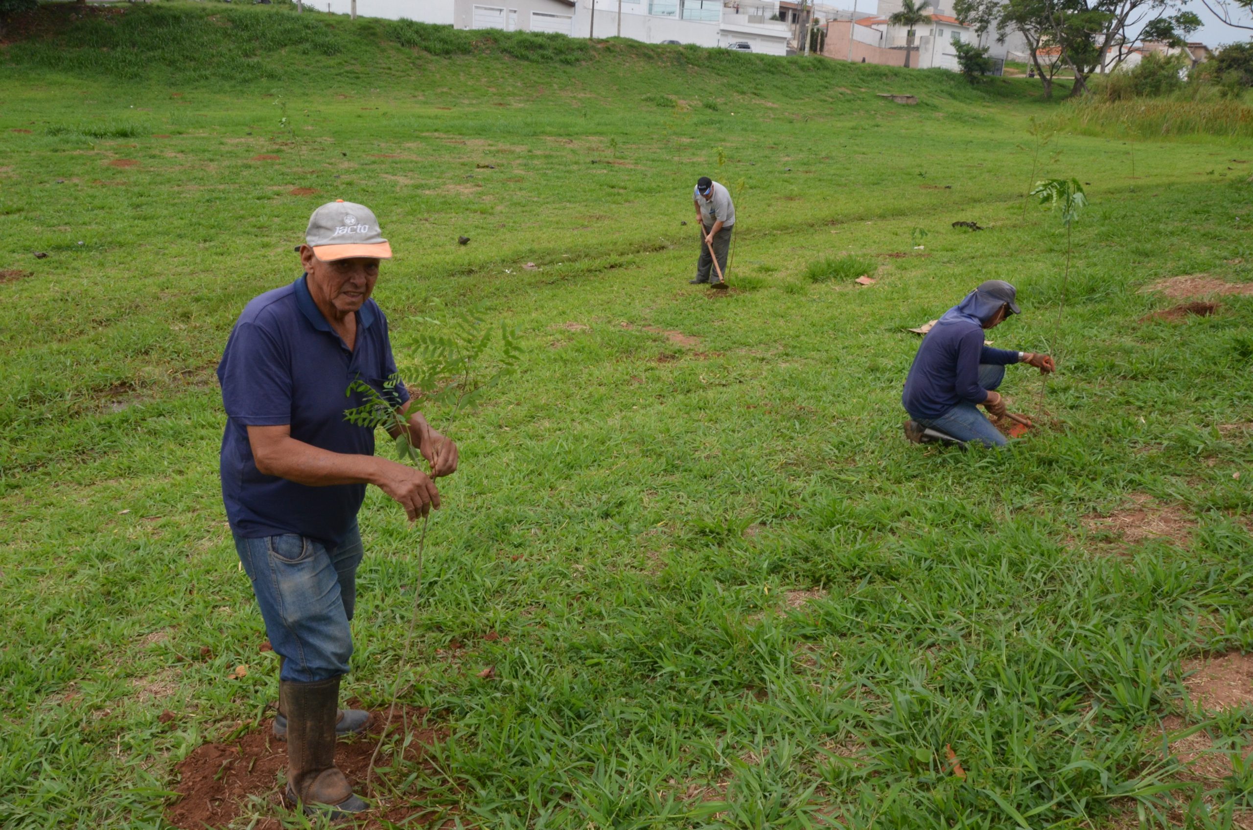 Secretaria do Meio Ambiente de Franca continua com plantio de árvores