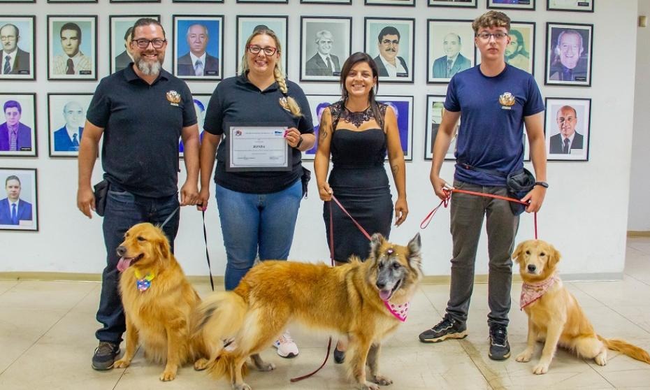 Ronda, a cachorra que cura pela “cãoterapia”, é homenageada na Câmara de Franca