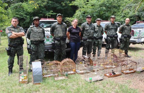 165 aves apreendidas com infratores são soltas pela Polícia Ambiental de Franca - Jornal da Franca
