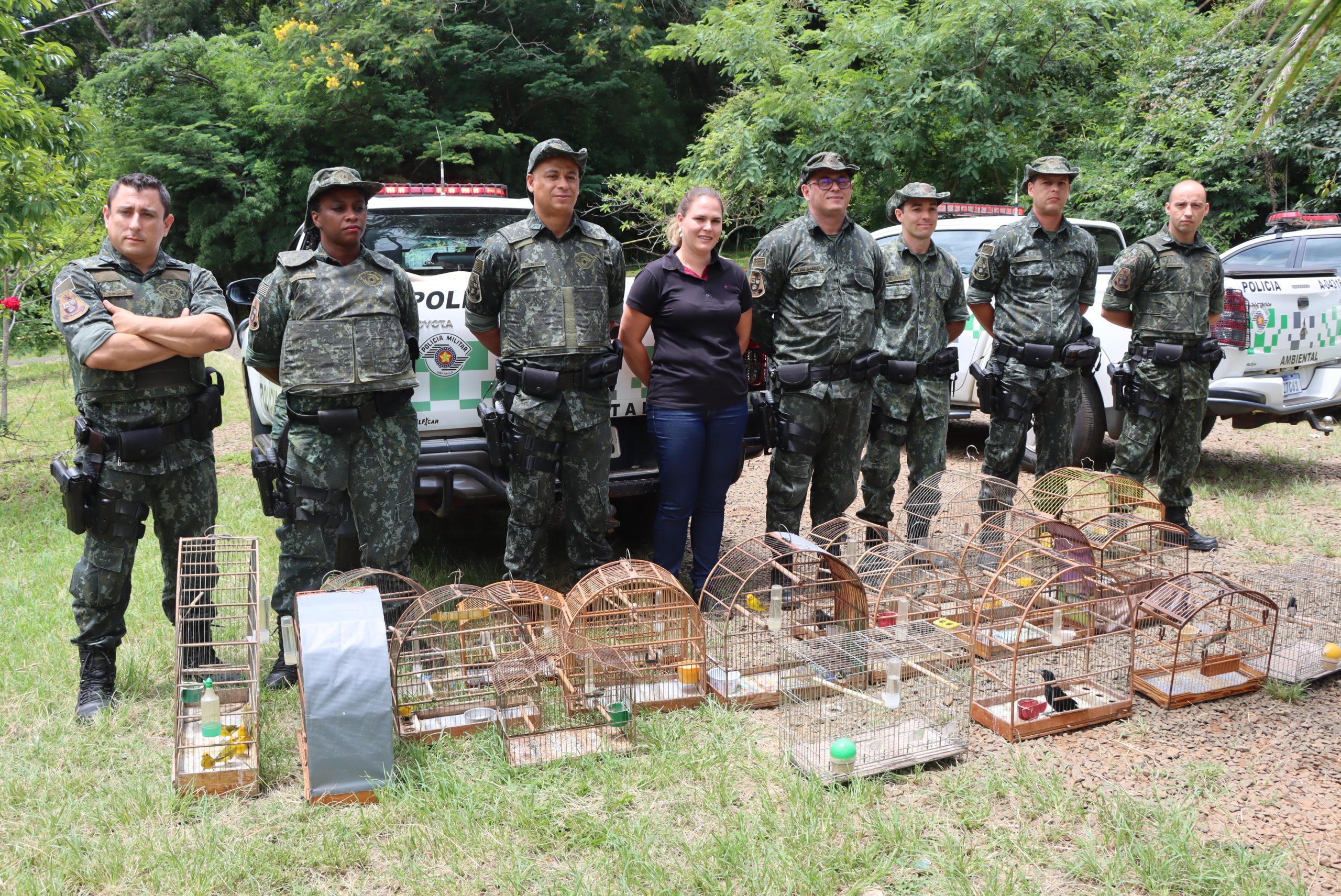 165 aves apreendidas com infratores são soltas pela Polícia Ambiental de Franca