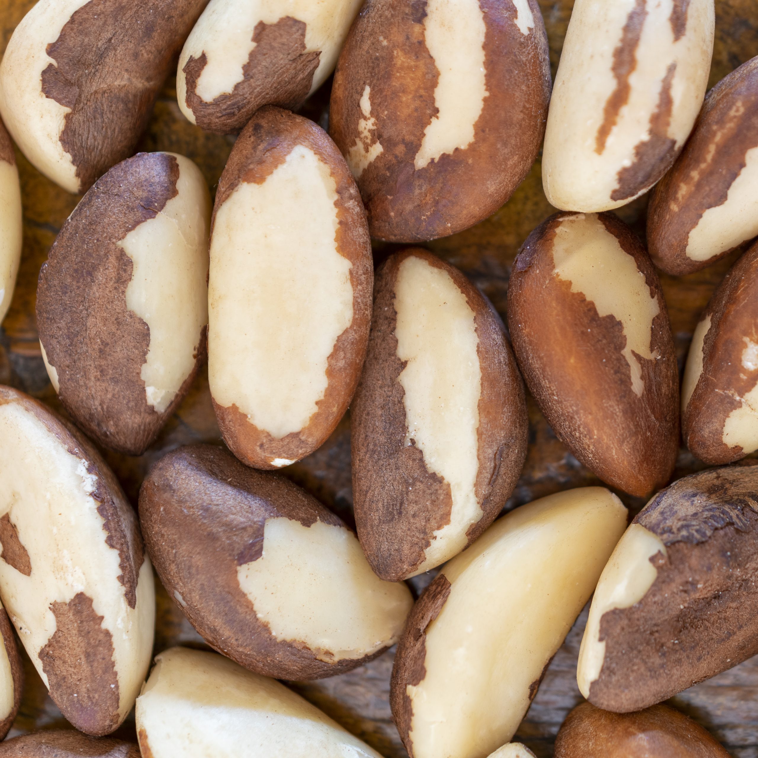 Castanha-do-brasil diminui o risco de Alzheimer; veja cuidados na hora de comprar