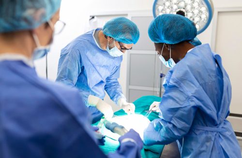 24 transplantes de órgãos são feitos todos os dias no Estado de SP, diz pesquisa - Jornal da Franca