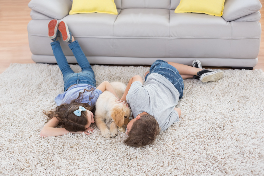 Tem cachorro e mora em apartamento? Veja os cuidados necessários para você e o pet