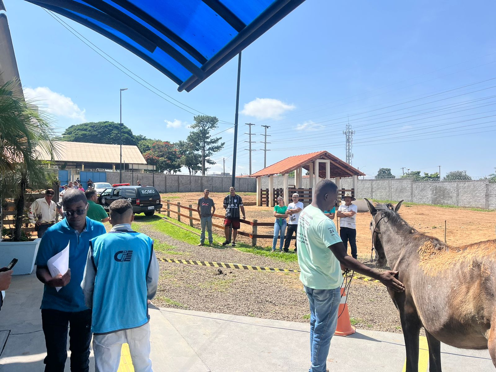 15 animais são arrematados no último leilão de 2023 do Canil Municipal de Franca