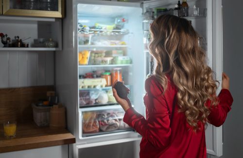 Governo muda regras para geladeiras, e indústria prevê preço acima de R$ 5.000 - Jornal da Franca